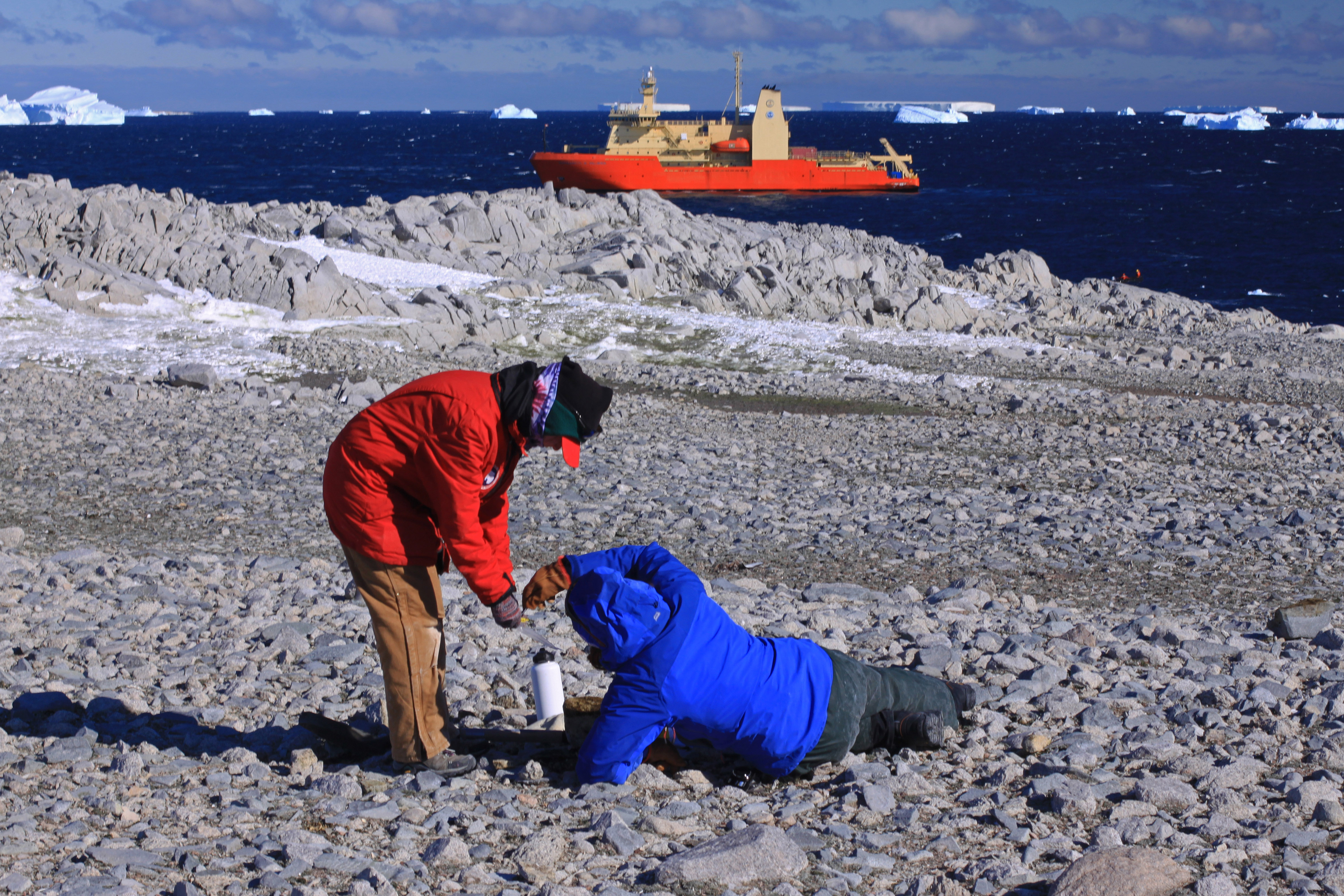 Scientists collecting shells from beach on one of the Lindsey Islands, Pine Island Bay. 