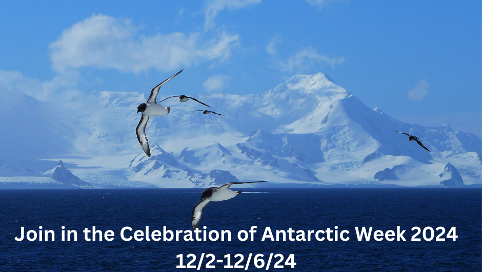 Join in the Celebration of Antarctic Week