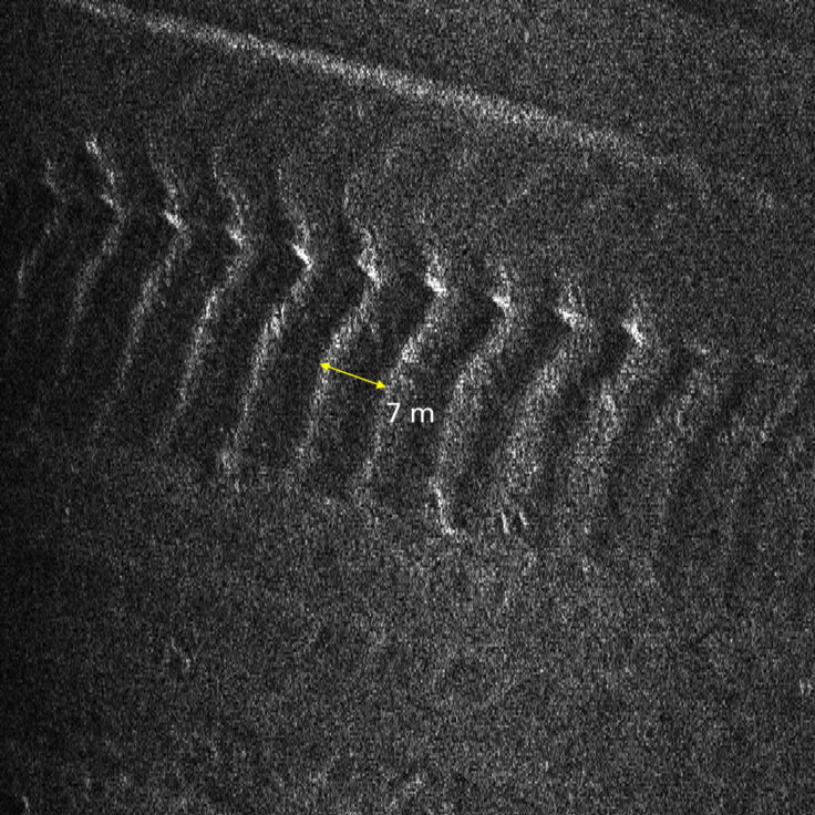 A side scan shows the ridges detected by Ran. Image credit_Ali Graham