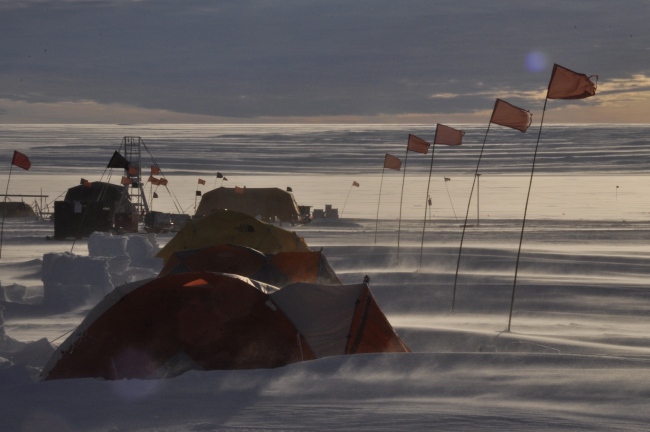 Tents on Thwaites Glacier, Dec 2019. Photo by David Vaughan