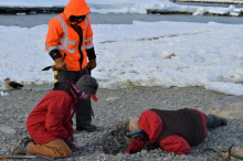 Scott Braddock digs down into a relict beach to retrieve a preserved shell that will be radiocarbon dated once back to the University of Maine. Meghan Spoth (red) and Kelly Hogan (orange) look on and record the sample's location and description. Photo credit: Victoria Fitzgerald