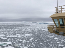 Sea ice near Peter I Island, Antarctica. Photo Credit: Julia Wellner