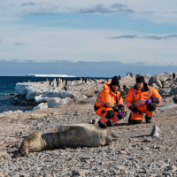 Scientists check out a seal on the shore of one of the tiny Schaefer Islands off West Antarctica’s Canisteo Peninsula.