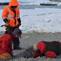 Researchers collecting beach sediments to understand the age of the islands and beaches, Antarctica