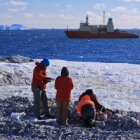 Scientists study the beach deposits on an island near Thwaites,  February 2019 Glacier