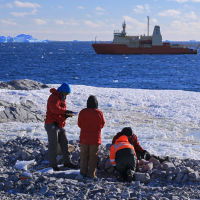 Scientists collecting shells from beach on one of the Lindsey Islands, Pine Island Bay. The US research ship R/V Nathaniel B Palmer is in the background.