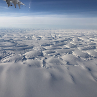 Icebergs near the terminus of Thwaites Glacier in January 2022. Credit: Ted Scambos