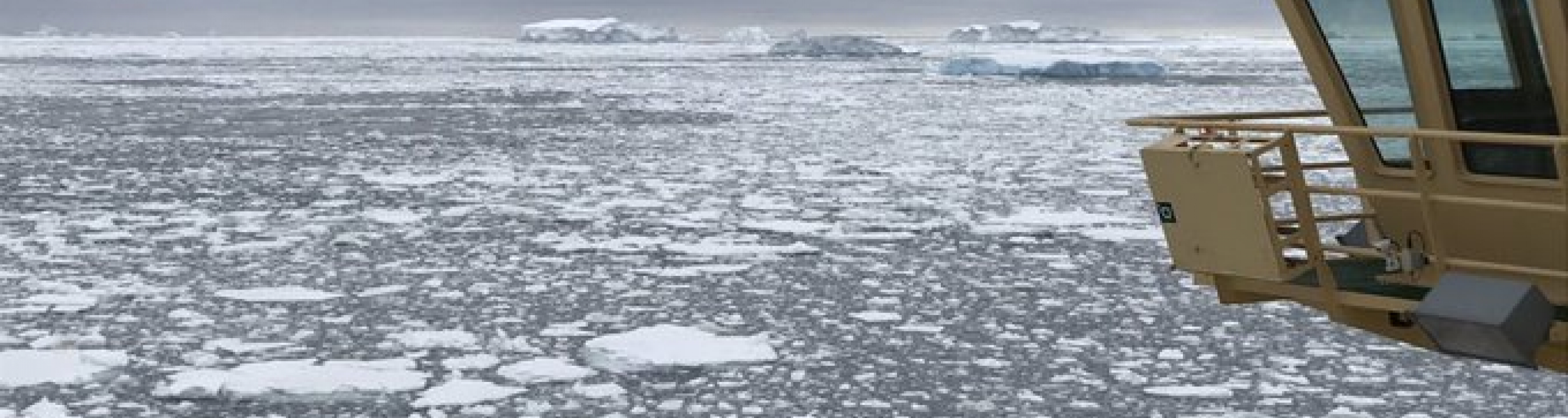 Sea ice near Peter I Island, Antarctica. Photo Credit: Julia Wellner